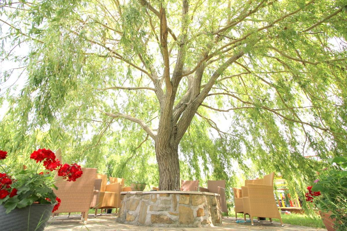 Green Place Apartments ポルトローシュ エクステリア 写真